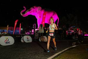 BIB: 
                            <button type="button" onclick="openModal(26534861)" class="btn btn-primary btn-sm float-right btn-popup" data-toggle="modal" data-target=".modal-high-quality">
                        <i class="fas fa-shopping-cart"></i> Add to Cart
                    </button>
                                            <button type="button" onclick="isThisMe(26534861, true)" class="btn btn-success btn-sm float-right btn-popup btn-isme hidden" data-toggle="tooltip" data-placement="bottom" title="นี่คือรูปของคุณใช่ไหม คลิกที่นี่เพื่อเอาเข้าอัลบั้ม">
                        <i class="fas fa-plus"></i> Add to album
                    </button>
                    <button type="button" onclick="isThisMe(26534861, false)" class="btn btn-warning btn-sm float-right btn-popup btn-isnotme hidden">
                        <i class="fas fa-ban"></i> Remove from album
                    </button>